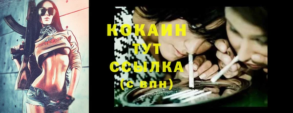 спиды Кукмор