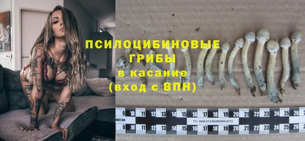 2c-b Куйбышев