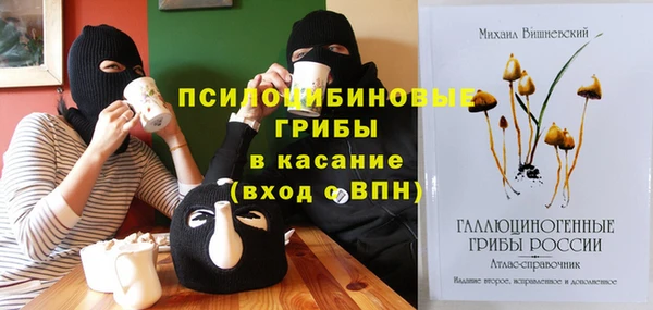 2c-b Куйбышев
