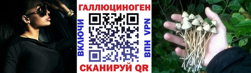 Купить закладки  Балей  Галлюциногенные грибы Magic Shrooms 
